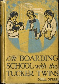 Cover of At Boarding School with the Tucker Twins — Inside the Classic