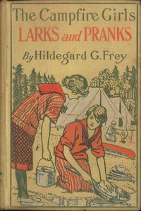 Cover of The Camp Fire Girls' Larks and P...